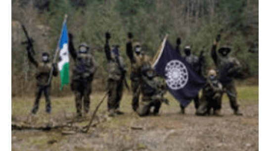 Army Veteran Sentenced for Training Violent Extremist Groups